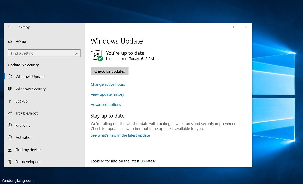 Windows-Update-check