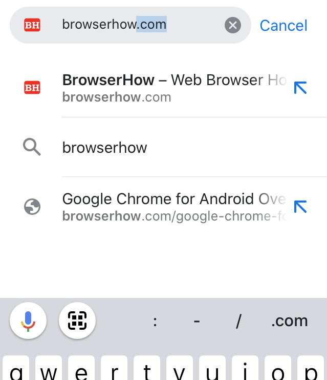 Enter-Website-URL-in-Chrome-iOS