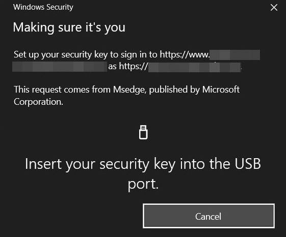 Windows-Security-Key