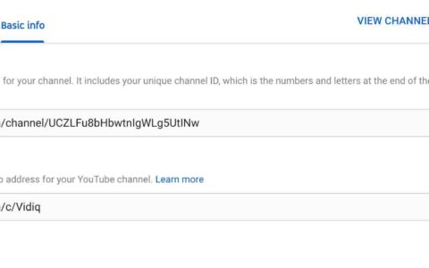 如何获取YouTube频道的自定义URL