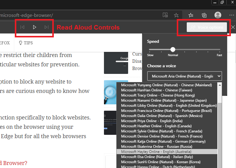 Edge-Read-Aloud-Controls-and-Voice-Options-1