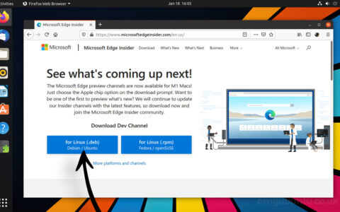 如何在Ubuntu和Linux Mint上安装Microsoft Edge