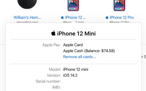 丢了iPhone 12或Apple Watch？这是远程禁用Apple Pay的方法