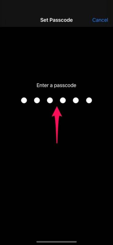 lock-single-app-guided-access-6