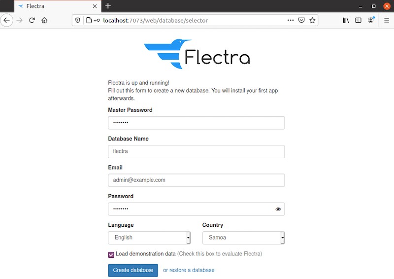 flectra-web-interface-1