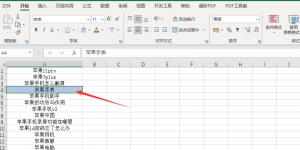 Office 2021 Excel如何连续锁定格式刷