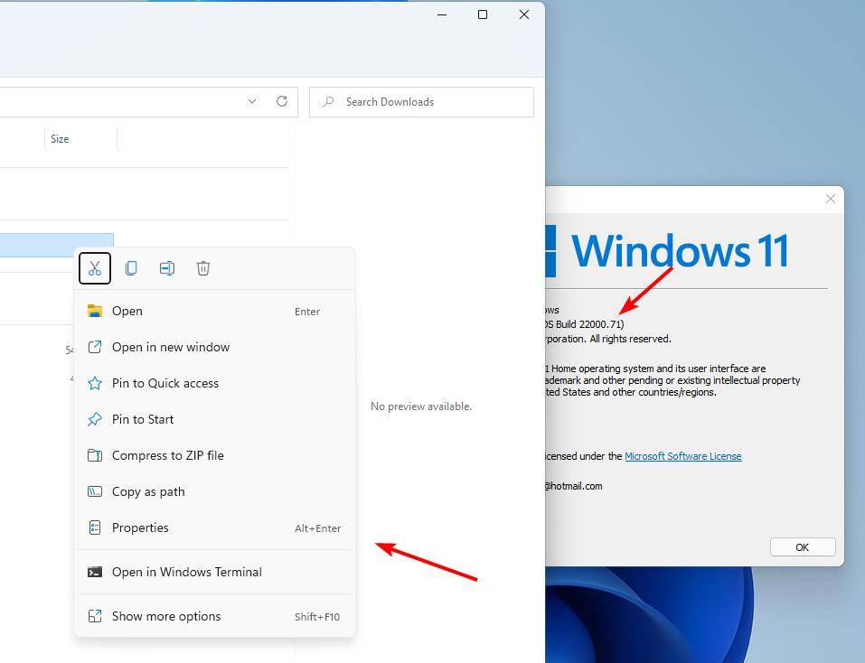 Windows-11-Insider-Preview-Build-22000.71-no-acrylic-menu-in-Explorer