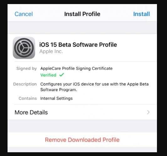 iOS-15-Software-Beta-profile-install-min