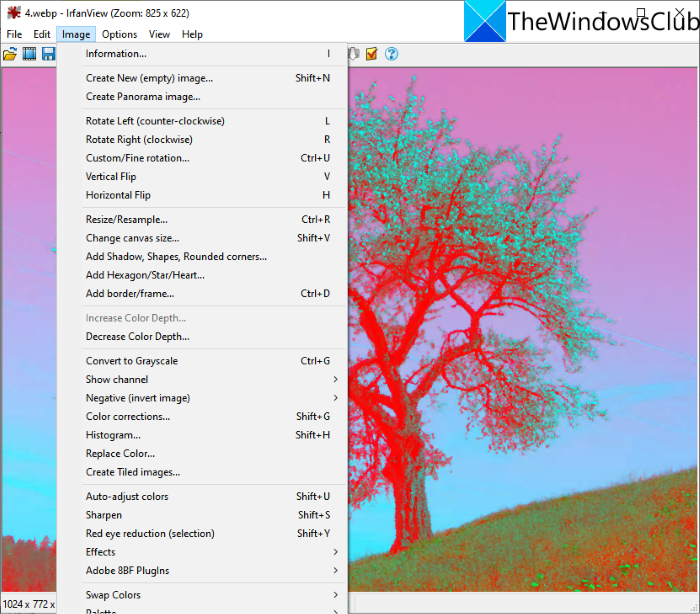 irfanview_how-to-edit-webp-image-windows-11-10-e1626190672398