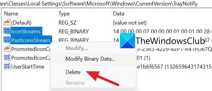 Delete-REG-Binary-files