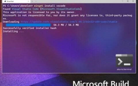 微软推出 Windows Package Manager (WINGET) 以帮助开发人员使用命令行安装应用程序
