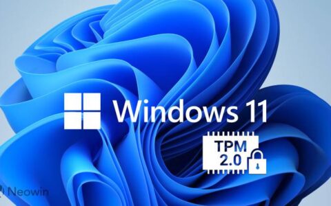 如何启用 TPM 和安全启动以安装 Windows 11