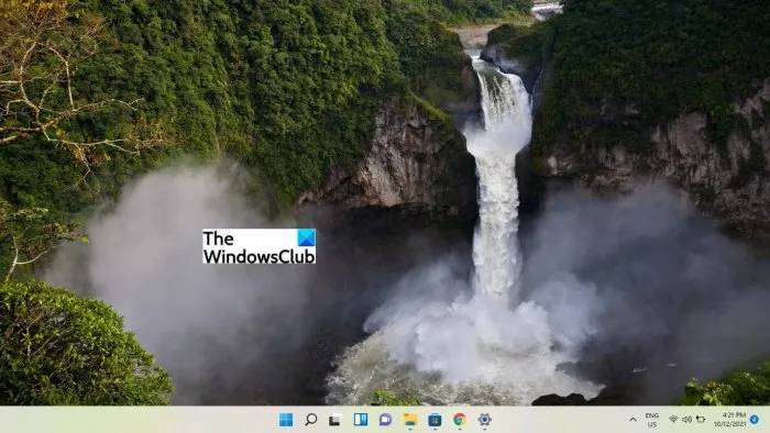 best-free-windows-11-themes-skins-to-download-amazon-rainforest