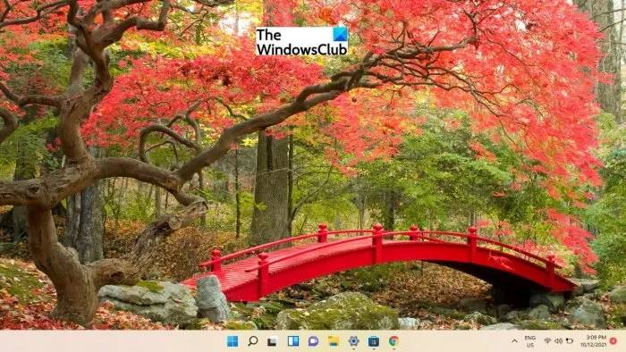 best-free-windows-11-themes-skins-to-download-bridges-in-autumn