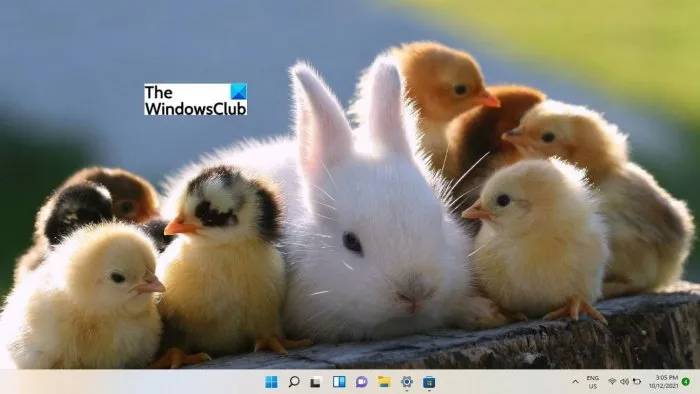 best-free-windows-11-themes-skins-to-download-chicks-bunnies
