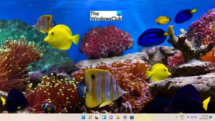 best-free-windows-11-themes-skins-to-download-fish-and-corals