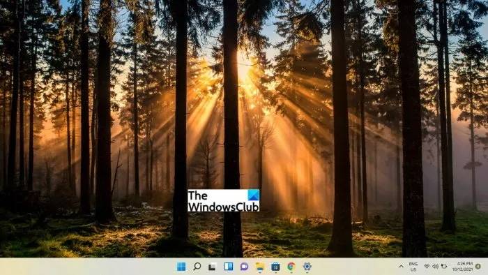 best-free-windows-11-themes-skins-to-download-forest-tee
