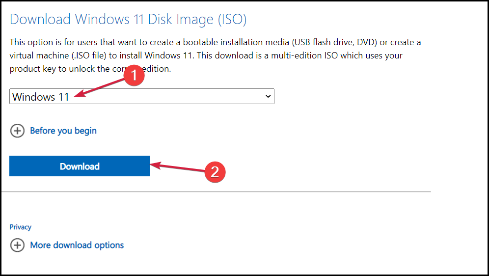 download-Windows11-ISO-2