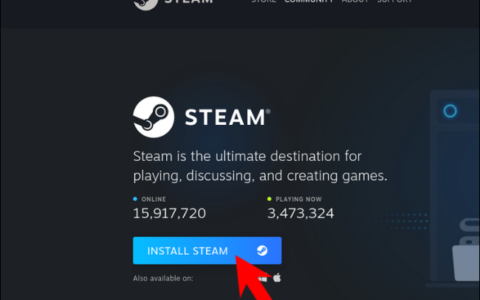 如何在 Linux 上下载和安装 Steam