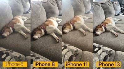 iphone-camera-comparison-dog
