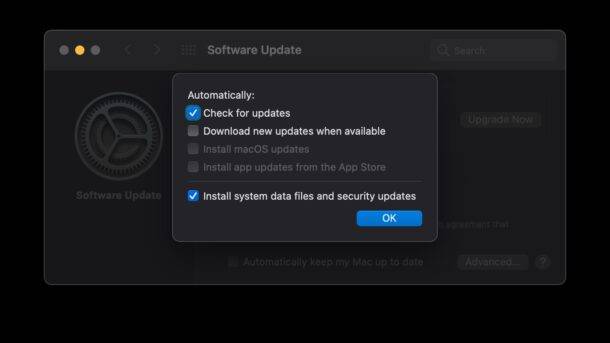 turn-off-automatic-macos-system-software-updates-mac-610x343-1
