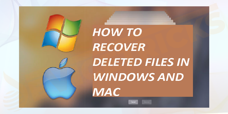 Is-it-possible-to-Recover-Deleted-Files-1