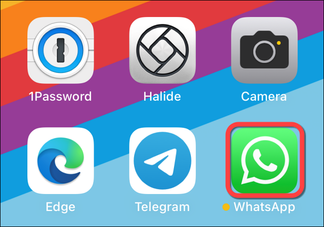 Select-the-WhatsApp.-app-icon