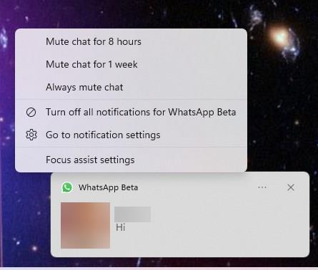 WhatsApp-beta-notifications