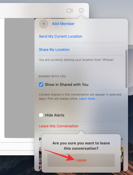 leave-a-group-text-on-imessage-mac-8-a