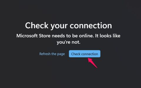 Microsoft Store 应用程序无法在 Windows 11 中打开：如何修复