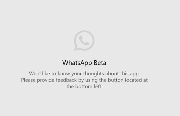 whatsapp-feedback