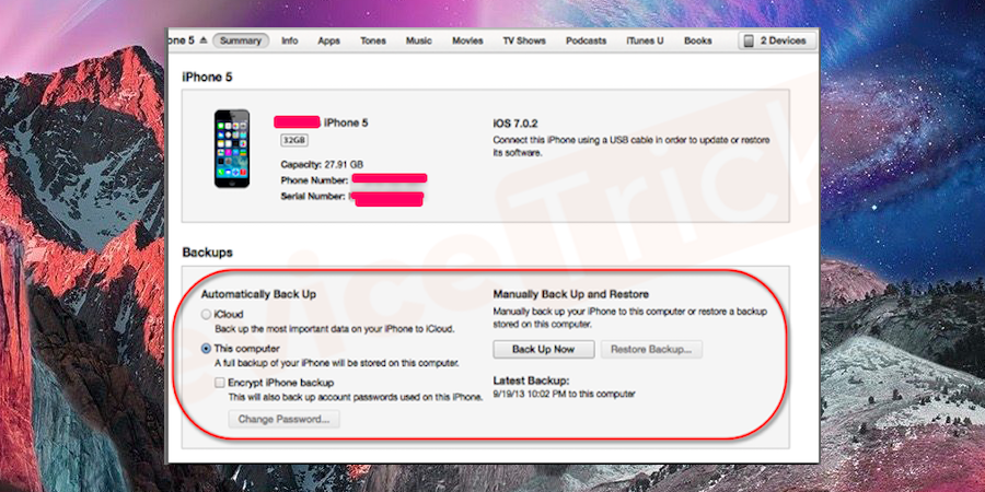 Find-the-Manually-Backup-and-Restore-option-in-iTunes