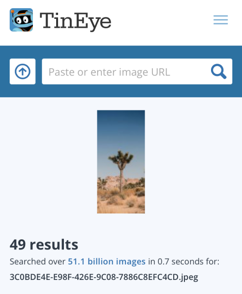 reverse-image-search-on-iphone-92-a