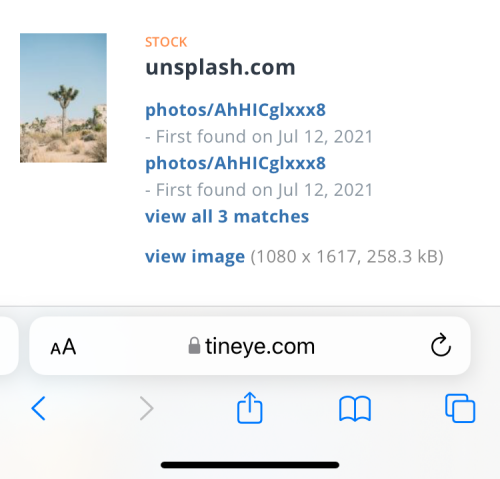 reverse-image-search-on-iphone-95-a