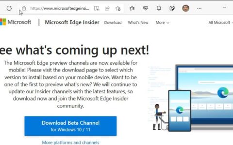 Microsoft Edge 很快让你可以将垂直标签放在右侧