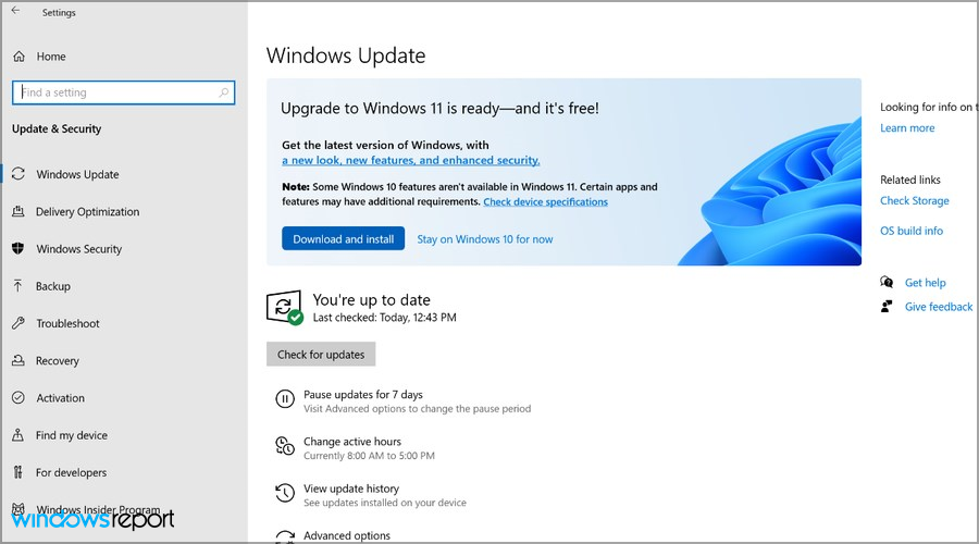download-and-install-w11