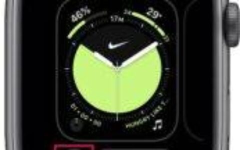 如何从 Apple Watch 分享您的表盘