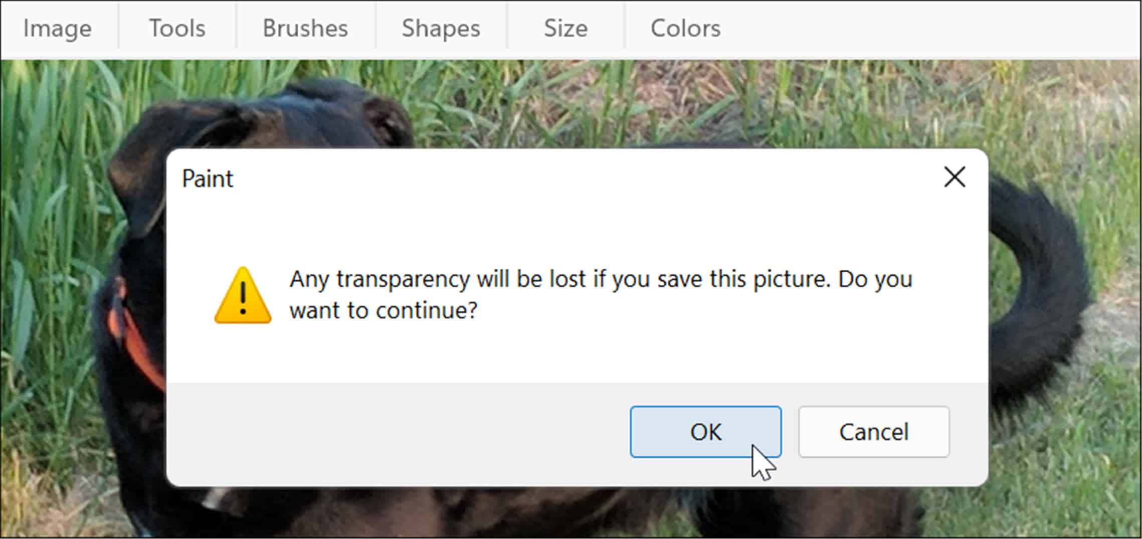 4-transparency-lost-dialog-message