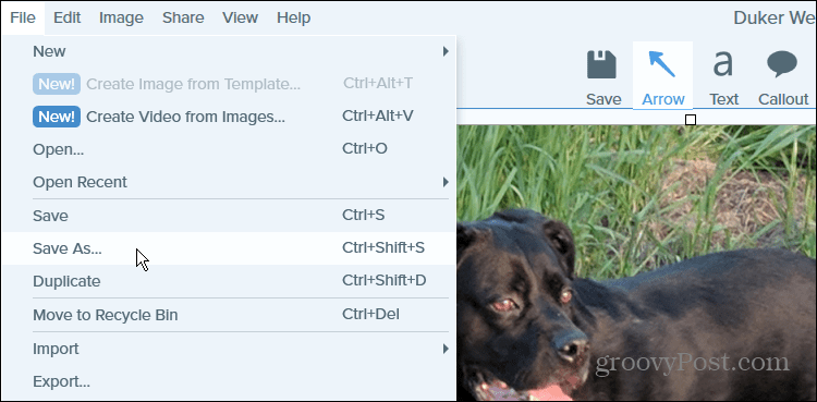 7-save-as-snagit-convert-a-png-to-jpg-on-windows-11