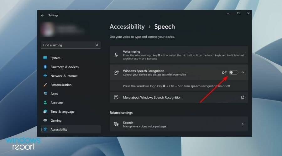disable-windows-speech-recognition