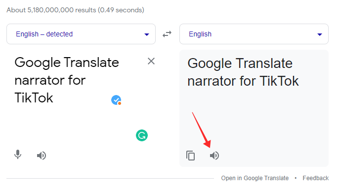 google-translare-narrator