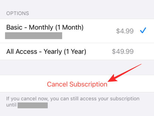how-to-cancel-reface-subscription-12-a