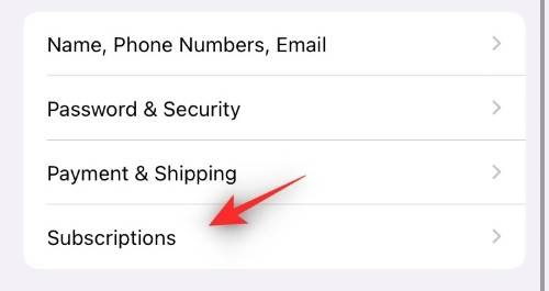 iphone-how-to-cancel-subscriptions-2022-resized-10