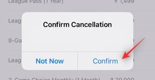 iphone-how-to-cancel-subscriptions-2022-resized-19