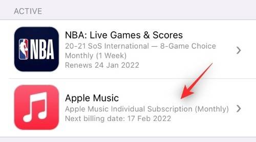 iphone-how-to-cancel-subscriptions-2022-resized-23