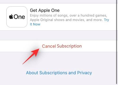 iphone-how-to-cancel-subscriptions-2022-resized-24