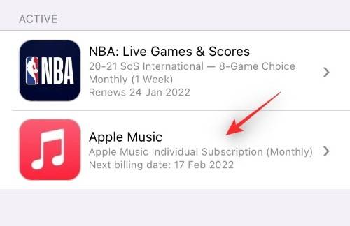 iphone-how-to-cancel-subscriptions-2022-resized-27