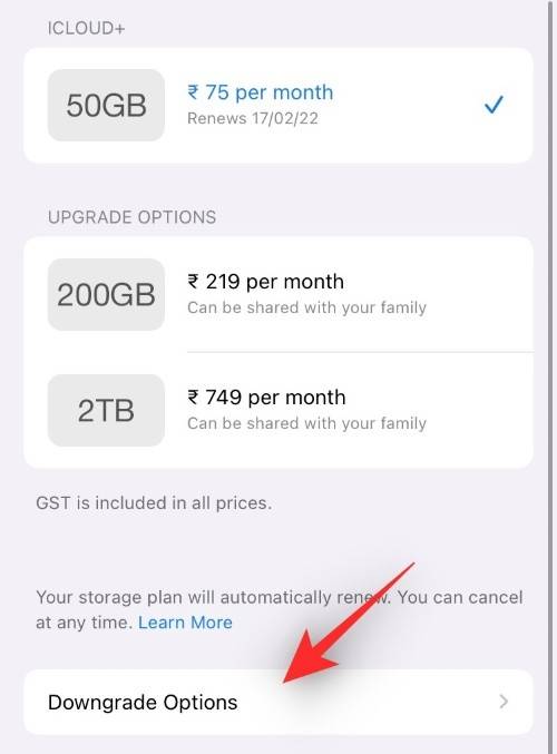 iphone-how-to-cancel-subscriptions-2022-resized-5
