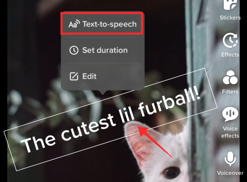 如何在 TikTok 视频中添加文本到语音的画外音