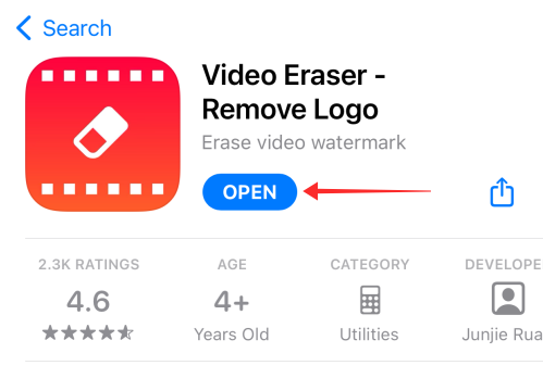 video-eraser-remove-logo-1